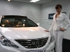 2010 Hyundai Sonata