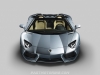 2013 Lamborghini Aventador Roadster
