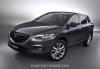 2013 Mazda CX-9
