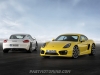 2013 Porsche Cayman