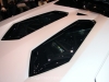 Lamborghini Aventador Roadster Special Media Preview in Malaysia