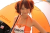 Super GT Queens @ 2012 Series Sepang Photos