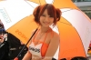 Super GT Queens @ 2012 Series Sepang Photos