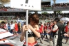 Super GT Queens @ 2012 Series Sepang Photos