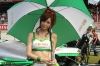 Super GT Queens @ 2012 Series Sepang Photos
