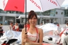 Super GT Queens @ 2012 Series Sepang Photos