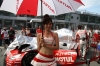 Super GT Queens @ 2012 Series Sepang Photos