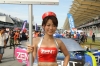 Super GT Queens @ 2012 Series Sepang Photos