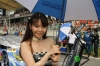 Super GT Girls @ 2012 Series Sepang Photos