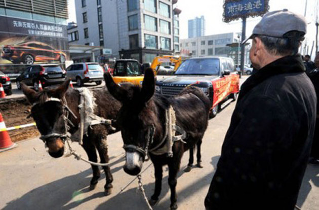 rangerover donkey Range Rover Towed Back To Dealer with Donkeys in China